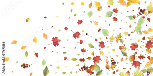 Leaves Falling Autumn Foliage Chaotic Leaf Flying