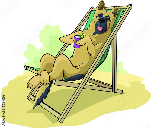 Germany Shepard dachshund lying on the subbed. illustration, vector, 
