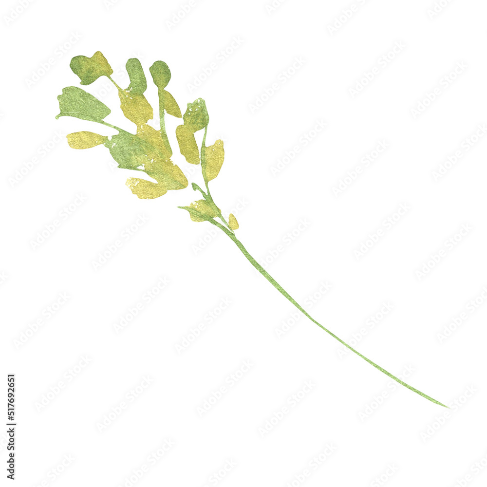 Watercolor green peony leaf illustration,chinese, rose, juicy greens, coloful,vibrant vintage greenery flower element,create botanical wreath,frame,for wedding stationery,greeting card,baby shower,diy Watercolor green peony leaf illustration,chinese, rose, juicy greens, coloful,vibrant vintage greenery flower element,create botanical wreath,frame,for wedding stationery,greeting card,baby shower,diy