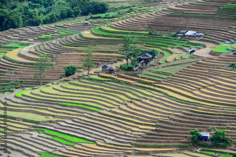 traveling in Mu Cang Chai rice terraces, Vietnam