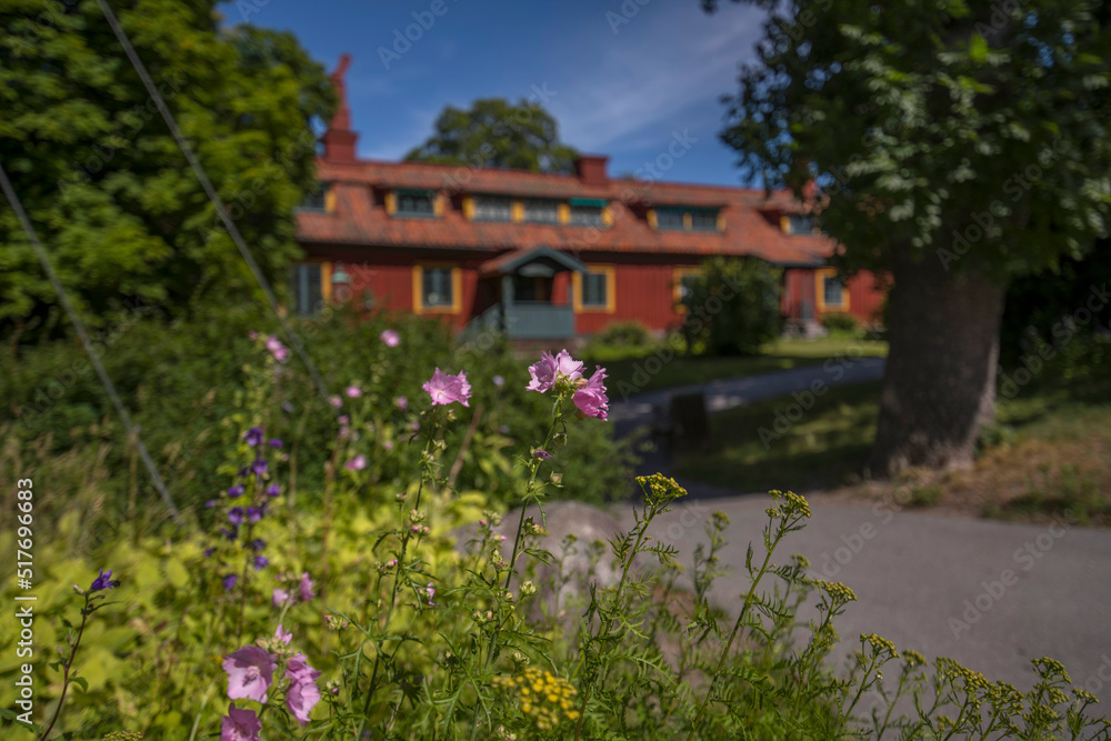 Pink flowers and old red wood house in background in a park a sunny summer day in Stockholm