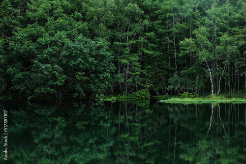新緑の湖畔の風景　長野県御射鹿池　7月 © 正人 竹内
