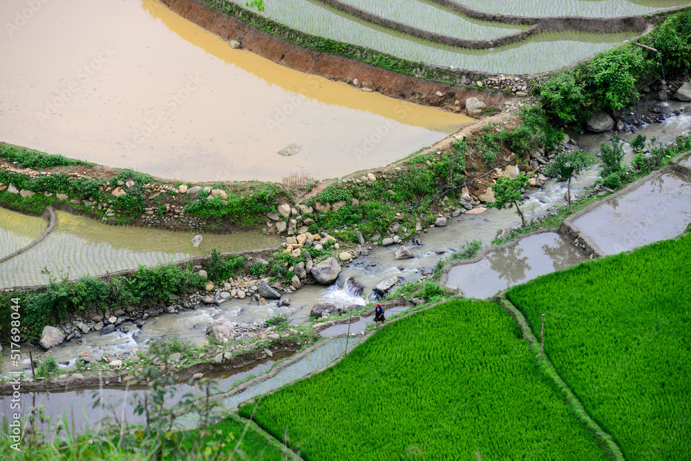 traveling in Mu Cang Chai rice terraces, Vietnam traveling in Mu Cang Chai rice terraces, Vietnam