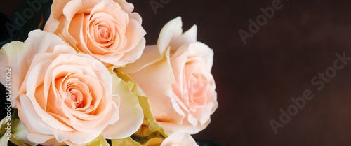 A bouquet of roses is beautiful, fresh, bright on a dark brown background. © andreyphoto63