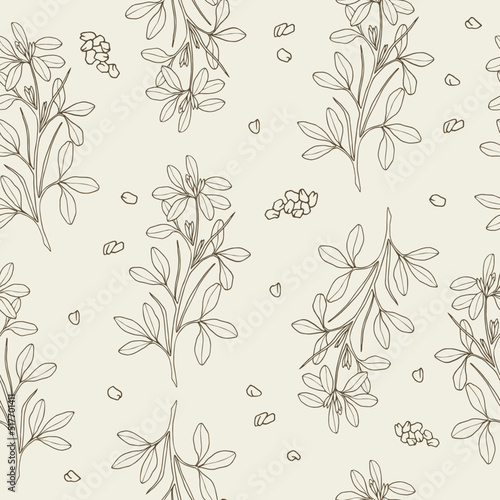 Fenugreek hand drawn botanical seamless pattern