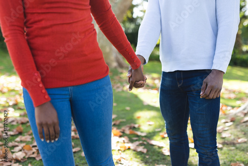 Image of midsection of african american couple in garden