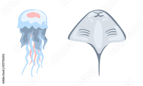 Oceanic and sea animals set. Stingray, jellyfish marine inhabitants cartoon vector illustration