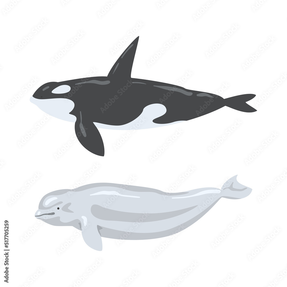Oceanic and sea animals set. Beluga, orca, marine inhabitants cartoon vector illustration Oceanic and sea animals set. Beluga, orca, marine inhabitants cartoon vector illustration