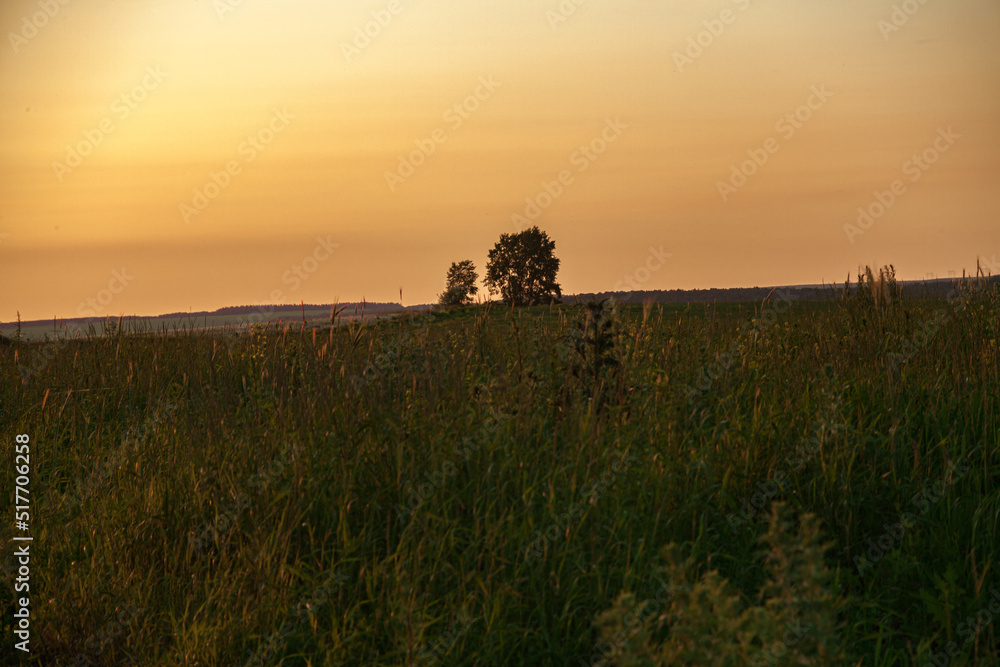 A sunny sunset.Dramatic sunset over the horizon. Above the meadows. Red sky background. beautiful rays of the sun.Landscape A sunny sunset.Dramatic sunset over the horizon. Above the meadows. Red sky background. beautiful rays of the sun.Landscape