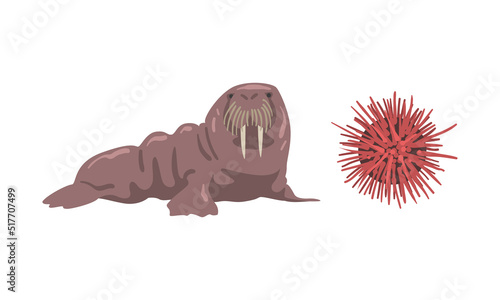 Oceanic and sea animals set. Sea lion and urchin marine inhabitants cartoon vector illustration