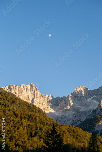 the forest the rocky peaks the blue sky and the moon. the rocky peaks in the Triglav national park in Slovenia with the blue sky, a softwood forest and the moon in the middle. Vertical view.