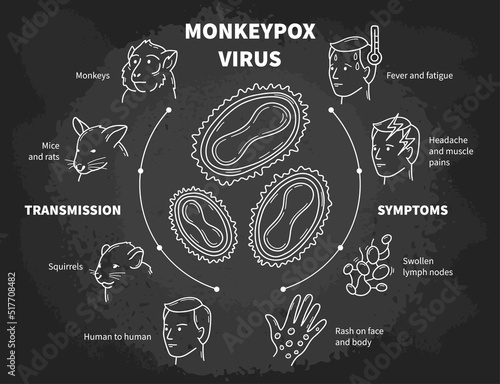 Monkeypox infectious disease vector infographic, medical scheme with poxviruses, symptoms and transmission. Fever and rash from monkeys, rats and squirrels. Chalk icons in sketch style on blackboard