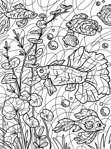 Aquarium  river bottom. Water world and fish. Freehand sketch for adult antistress coloring page with doodle and zentangle elements.