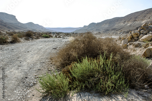 Desert Canyon at Wadi Degla Protectorate, Western Desert, Egypt
