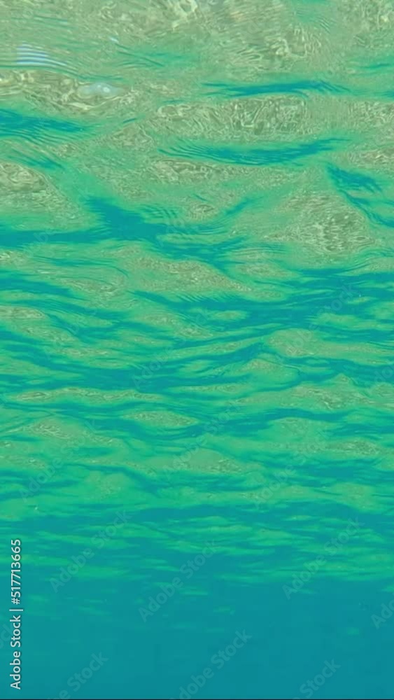 VERTICAL VIDEO: Underwater shot, surface of blue water with sun rays. Natural background with sun glints on surface of blue water. Texture of blue water surface VERTICAL VIDEO: Underwater shot, surface of blue water with sun rays. Natural background with sun glints on surface of blue water. Texture of blue water surface