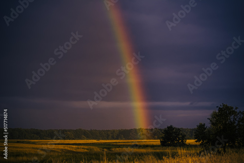 rainbow on the meadow