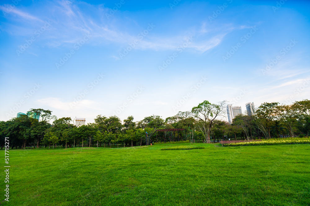 Sunset at city public park with green field and tree