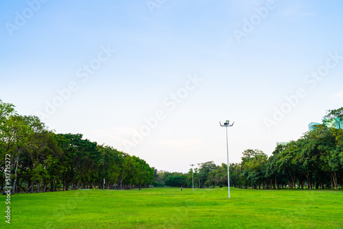 Sunset at city public park with green field and tree