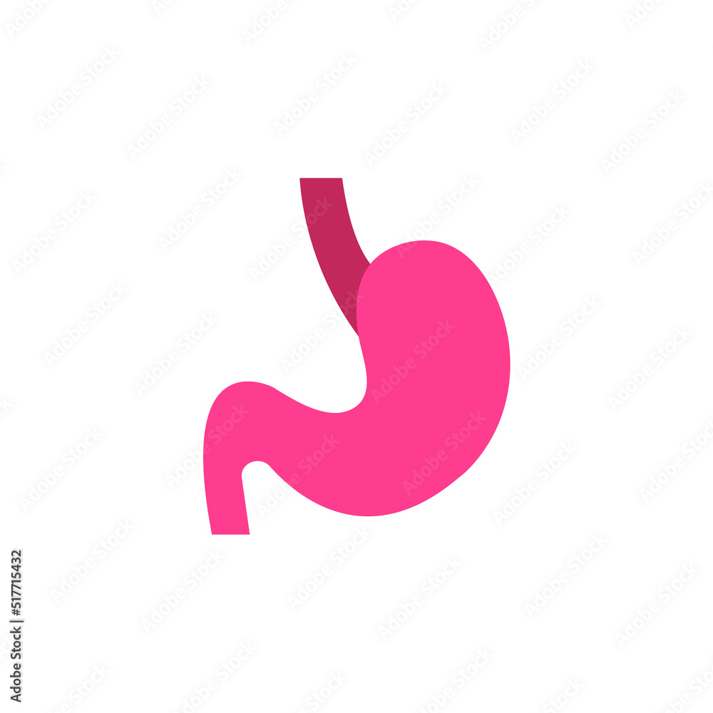 stomach vector for website symbol icon presentation stomach vector for website symbol icon presentation
