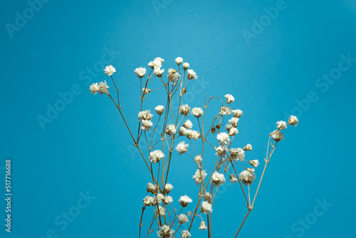 カスミソウのドライフラワー