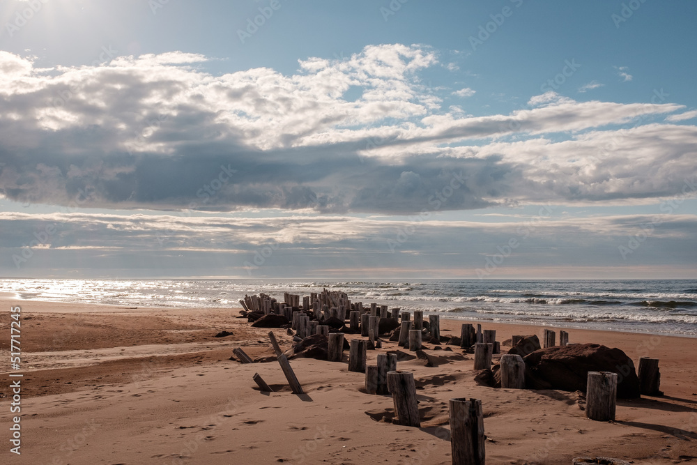 Wood posts on beach