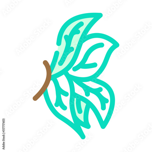 leaf wing color icon vector. leaf wing sign. isolated symbol illustration