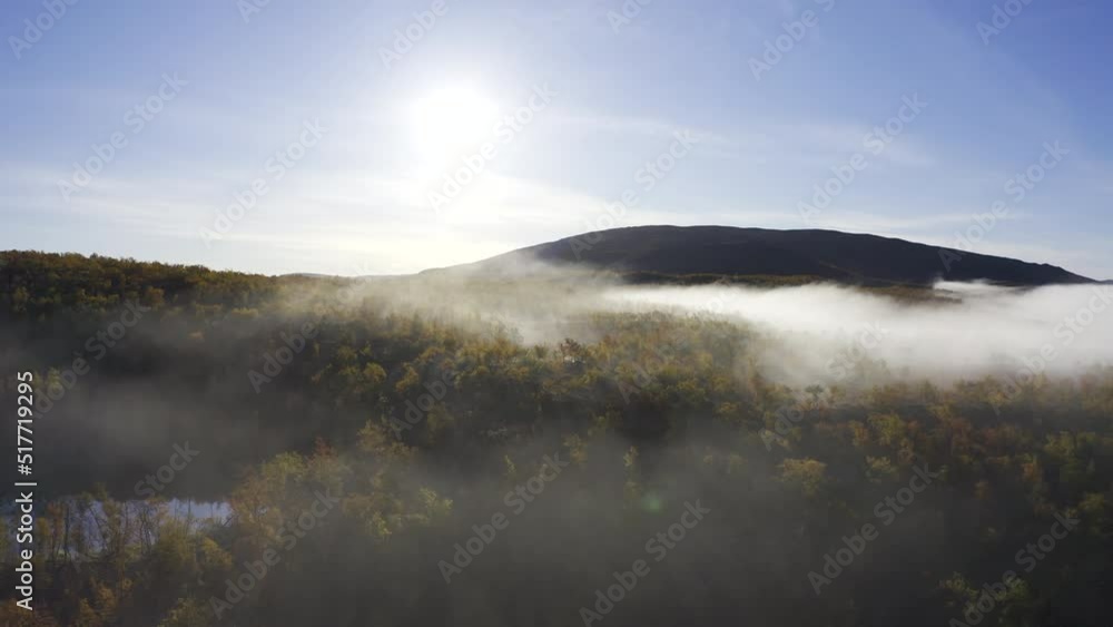 Aerial view of flying close to autumn coloured forest with mist on a sunny day Aerial view of flying close to autumn coloured forest with mist on a sunny day