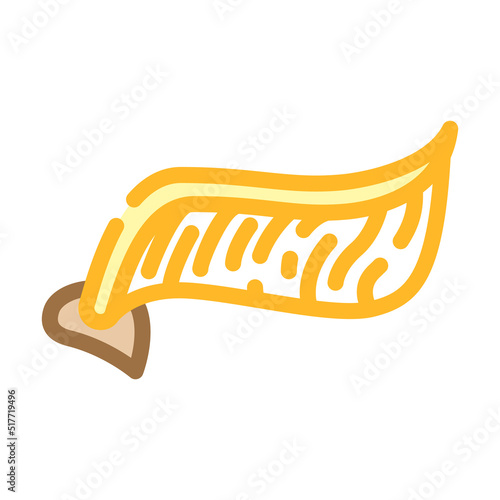 snitch wing from harry potter color icon vector. snitch wing from harry potter sign. isolated symbol illustration