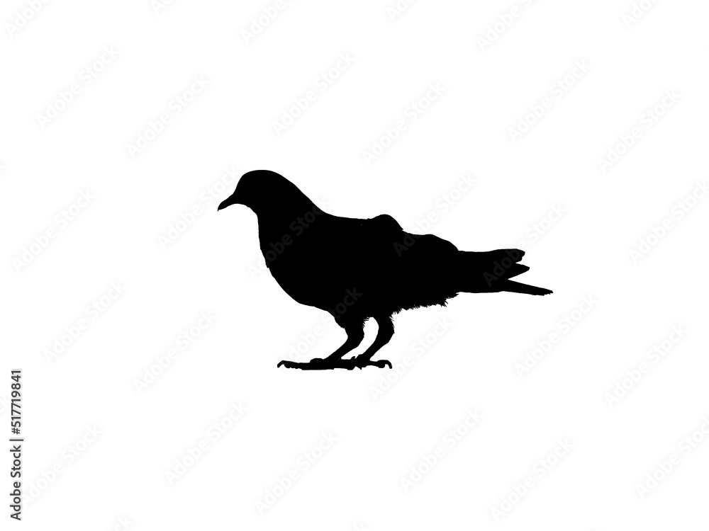 silhouette of a bird silhouette of a bird