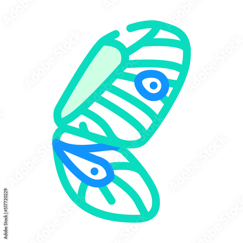 butterfly wing color icon vector. butterfly wing sign. isolated symbol illustration