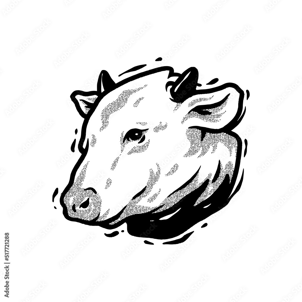 close up cow face drawing. line art