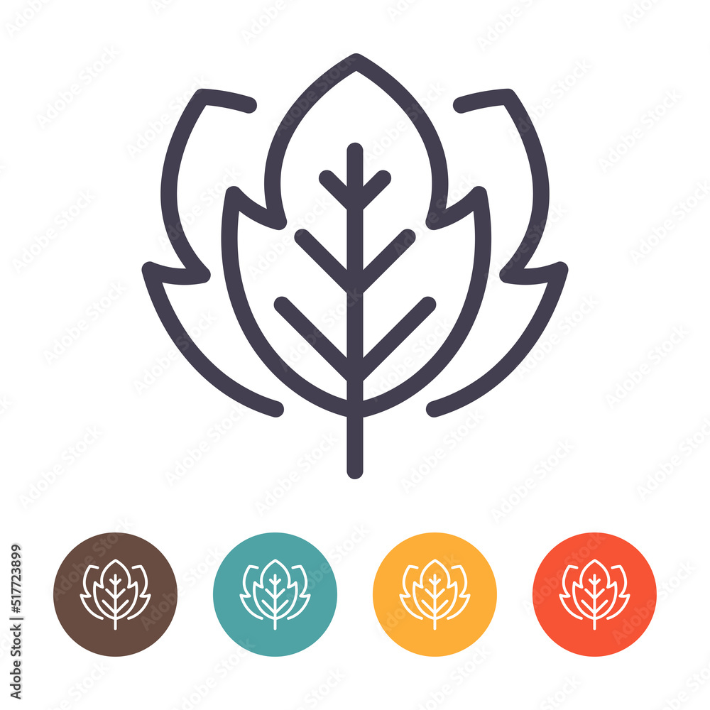 Leaf line icon isolated on white background Leaf line icon isolated on white background