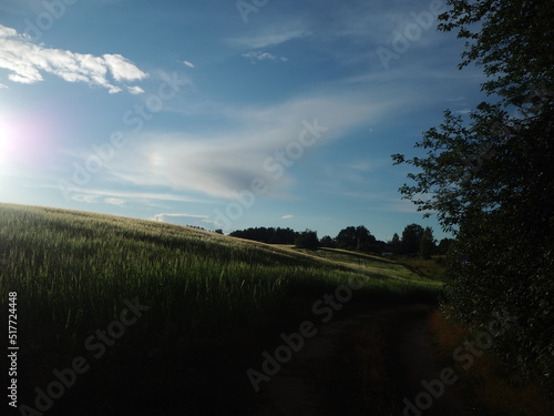 nature summer sun meadow grass clouds sky blue