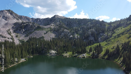 Lake in an Alpine Meadow