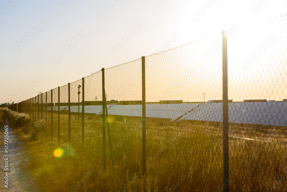 Central solar panels, at warm sunset, protected by security fences.