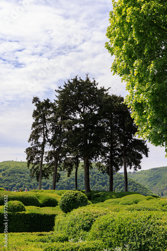 Marquyssac gardens near Beynac along Dordogne river in Perdigord region in France photo