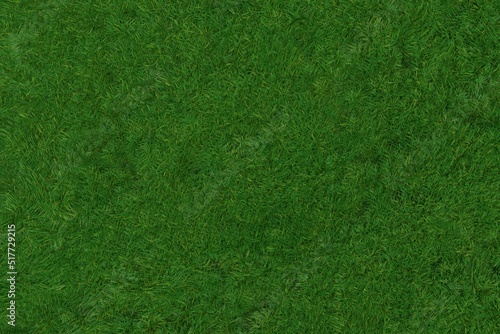 俯瞰した緑の芝生の背景素材