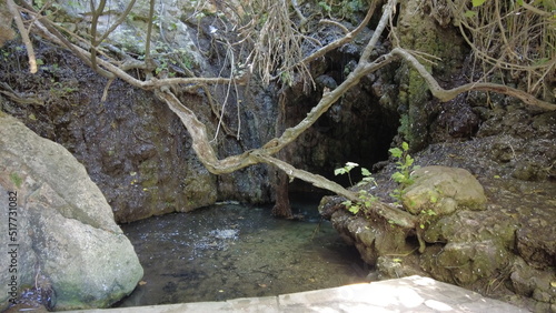 baths of aphrodite in cyprus
