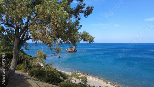 green tree with mediterranean sea in the background © Raquel