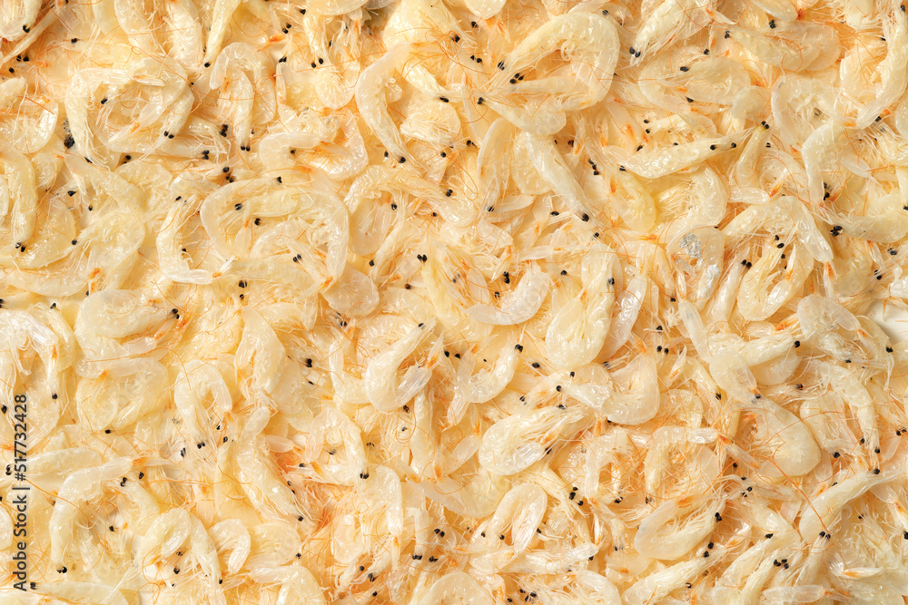 Seafood condiment dried shrimp skin on solid color background Seafood condiment dried shrimp skin on solid color background