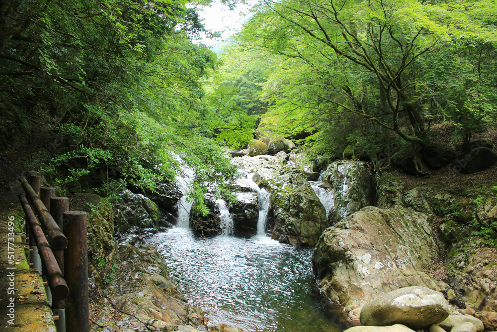 愛媛県松野町　滑床渓谷　三筋の滝