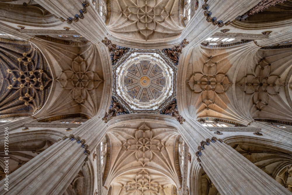 Crucero de la catedral, Catedral de la Asunción de la Virgen, Salamanca,  comunidad autónoma de Castilla y León, Spain