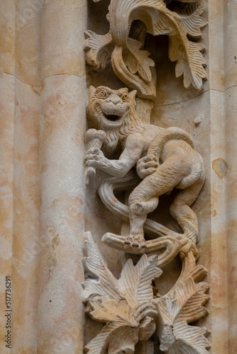 figura , puerta de Ramos,  Catedral de la Asunción de la Virgen,  Catedral Nueva, Salamanca,  comunidad autónoma de Castilla y León, Spain © Tolo