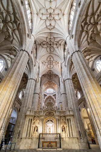 Catedral de la Asunci  n de la Virgen  Salamanca   comunidad aut  noma de Castilla y Le  n  Spain