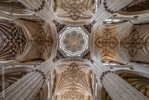Crucero de la catedral, Catedral de la Asunción de la Virgen, Salamanca,  comunidad autónoma de Castilla y León, Spain