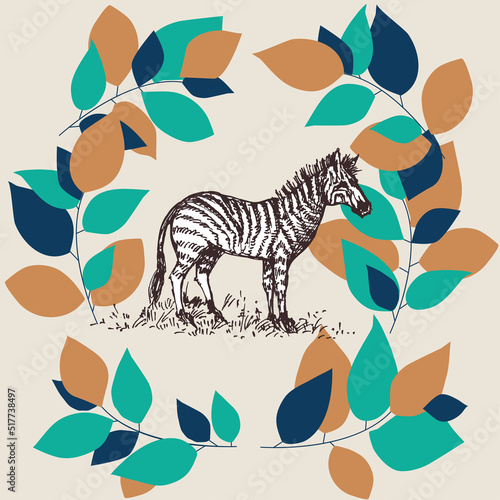 Zebra frame card, wild life endangered species awareness banner