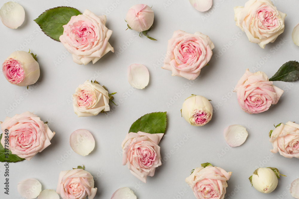 Flat lay with rose flowers on color background, top view Flat lay with rose flowers on color background, top view