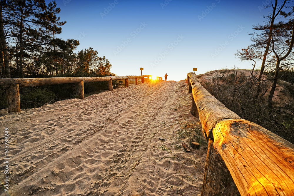 The entrance to the beach illuminated by golden rays of the sun and a human silhouette