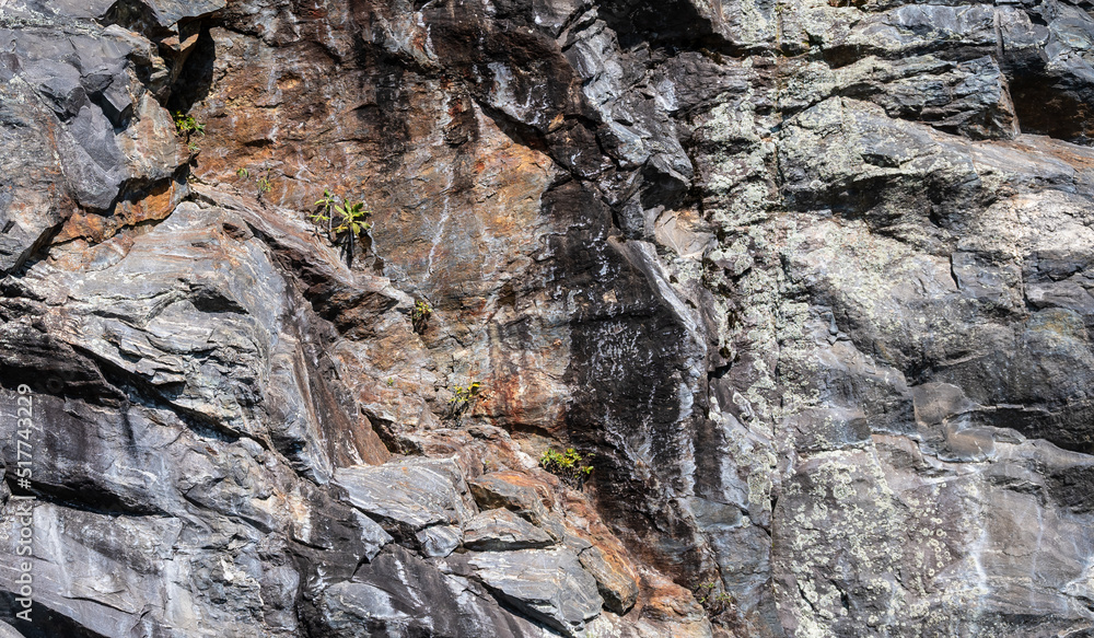 Nature Abstract: Pattern Created by Cracks and Crevices in a Solid Rock Wall