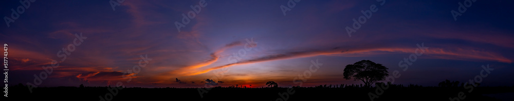 Panorama silhouette tree in africa with sunset.Tree silhouetted against a setting sun.Dark tree on open field dramatic sunrise and blue sky.